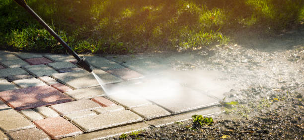 Best Animal Enclosure Cleaning  in Florin, CA