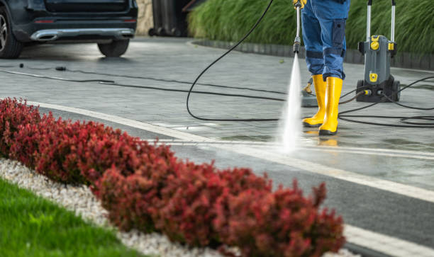Best Sidewalk and Walkway Cleaning  in Florin, CA